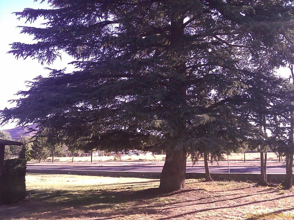 Ranch Motel Tehachapi Luaran gambar